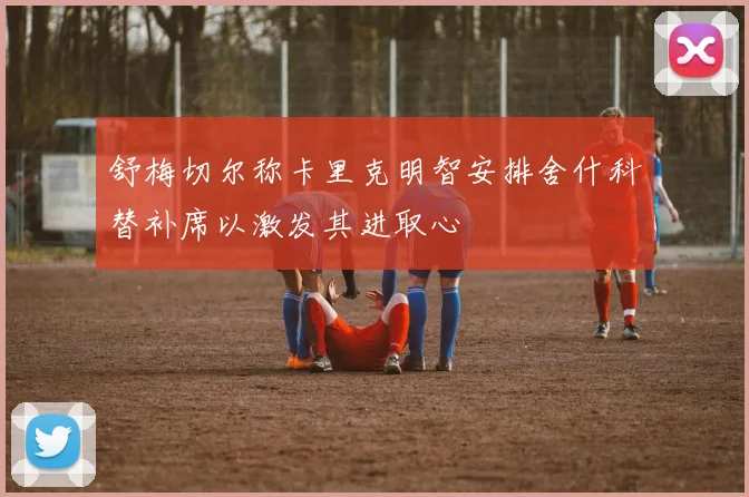 舒梅切尔称卡里克明智安排舍什科替补席以激发其进取心