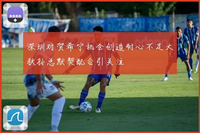深圳对贺希宁机会创造耐心不足大秋孙总默契配合引关注