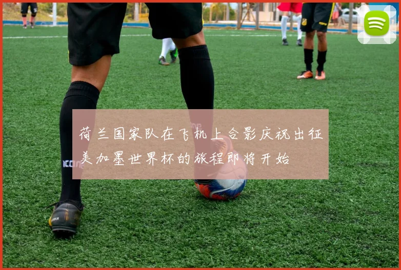 荷兰国家队在飞机上合影庆祝出征美加墨世界杯的旅程即将开始