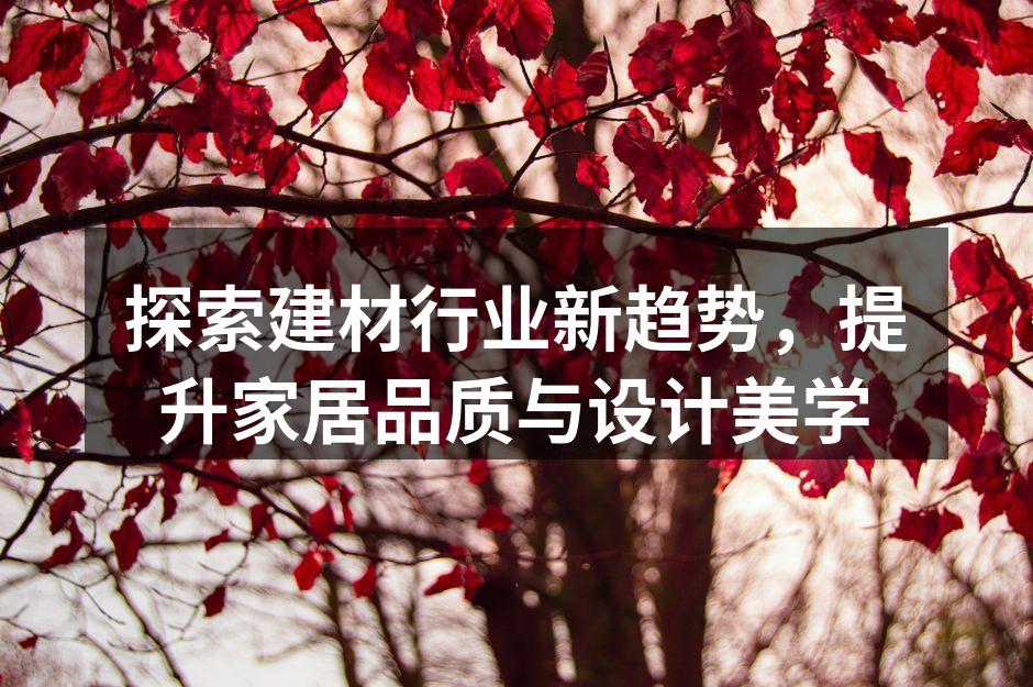 现代家居设计示例